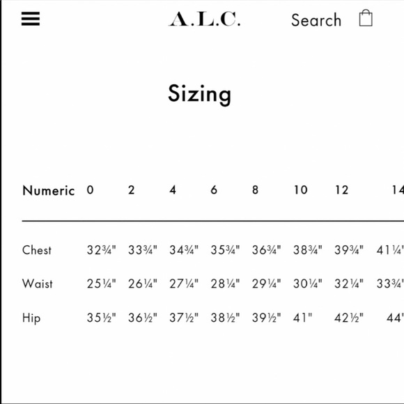 ALC Denim Lace Up Skirt - Picture 6 of 13